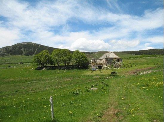 Le Francillon Les Estables Exterior foto